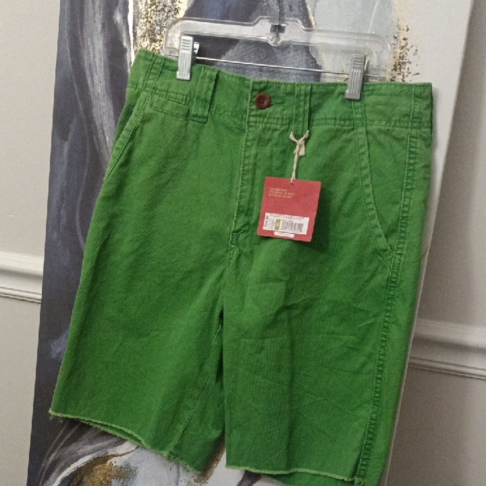 Mossimo Supply Co Green Flat Front Shorts